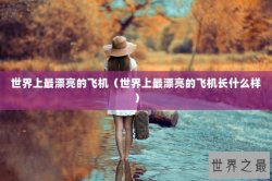 世界上最漂亮的飞机（世界上最漂亮的飞机长什么样）