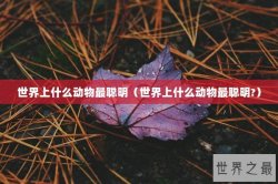 世界上什么动物最聪明（世界上什么动物最聪明?）