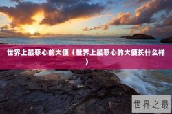 世界上最恶心的大便（世界上最恶心的大便长什么样）
