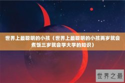 世界上最聪明的小孩（世界上最聪明的小孩两岁就会煮饭三岁就会学大学的知识）