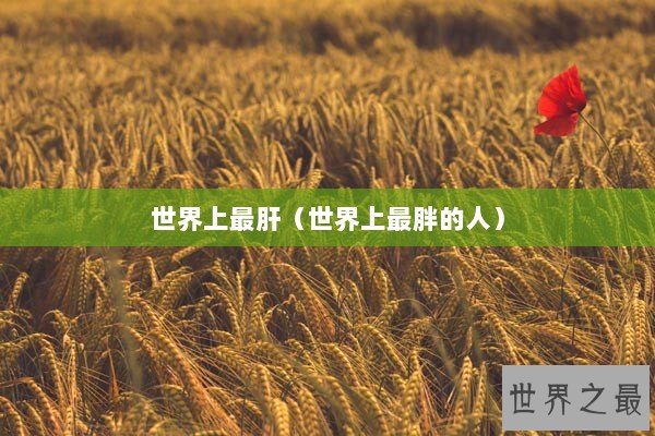 世界上最肝（世界上最胖的人）