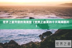 世界上最开放的海滩图（世界上最美的十大海滩图片）