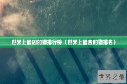 世界上最凶的猫排行榜（世界上最凶的猫排名）