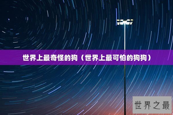 世界上最奇怪的狗（世界上最可怕的狗狗）