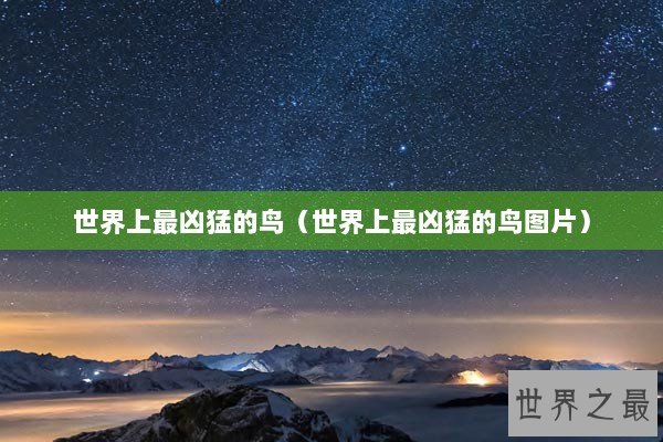 世界上最凶猛的鸟（世界上最凶猛的鸟图片）