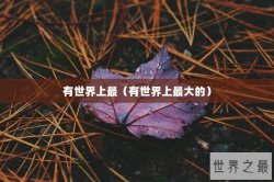 有世界上最（有世界上最大的）