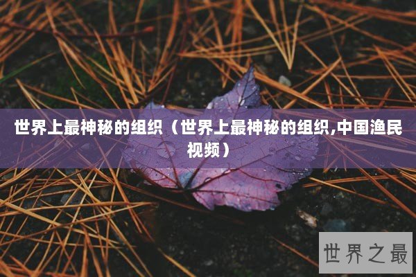世界上最神秘的组织（世界上最神秘的组织,中国渔民视频）