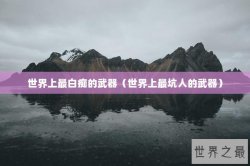 世界上最白痴的武器（世界上最坑人的武器）