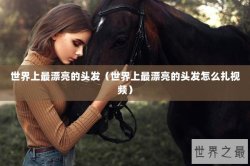 世界上最漂亮的头发（世界上最漂亮的头发怎么扎视频）