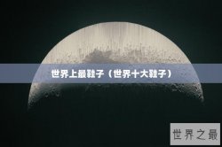 世界上最鞋子（世界十大鞋子）