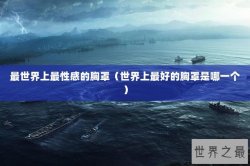 最世界上最性感的胸罩（世界上最好的胸罩是哪一个）
