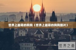 世界上最萌的狗狗（世界上最萌的狗狗图片）