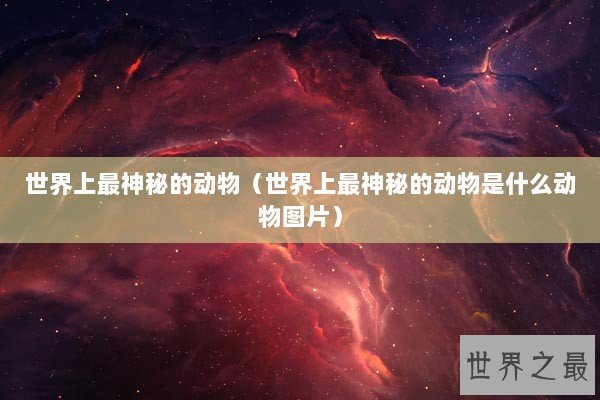 世界上最神秘的动物（世界上最神秘的动物是什么动物图片）