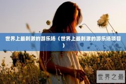 世界上最刺激的游乐场（世界上最刺激的游乐场项目）