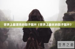世界上最漂亮的鞋子图片（世界上最长的鞋子图片）