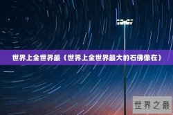 世界上全世界最（世界上全世界最大的石佛像在）