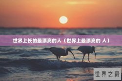 世界上长的最漂亮的人（世界上最漂亮的 人）