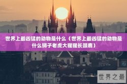 世界上最凶猛的动物是什么（世界上最凶猛的动物是什么狮子老虎大猩猩长颈鹿）