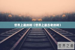 世界上最的树（世界上最古老的树）