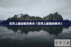 世界上最凶狠的拳术（世界上最强的拳术）