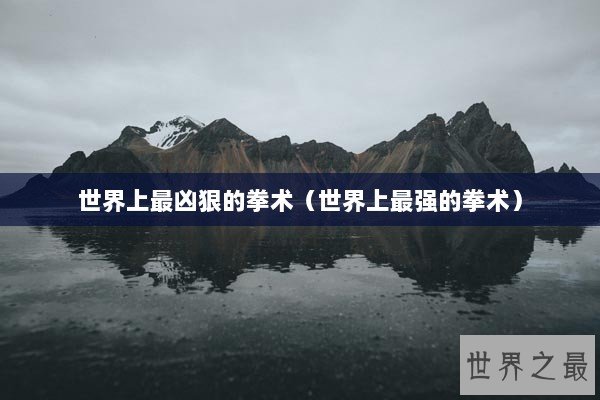 世界上最凶狠的拳术（世界上最强的拳术）