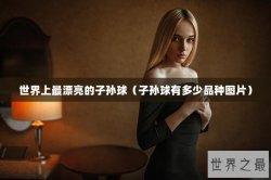 世界上最漂亮的子孙球（子孙球有多少品种图片）