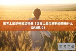 世界上最恐怖的动物是（世界上最恐怖的动物是什么动物图片）