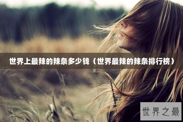 世界上最辣的辣条多少钱（世界最辣的辣条排行榜）