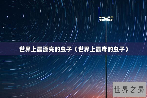 世界上最漂亮的虫子(世界上最毒的虫子) 世界上最漂亮的虫子(世界上最毒的虫子)