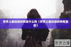 世界上最凶猛的狗是什么狗（世界上最凶猛的狗有哪些）