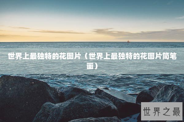 世界上最独特的花图片（世界上最独特的花图片简笔画）