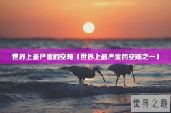 世界上最严重的空难（世界上最严重的空难之一）