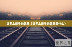 世界上最牛的武器（世界上最牛的武器是什么）