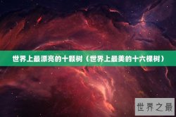 世界上最漂亮的十颗树（世界上最美的十六棵树）