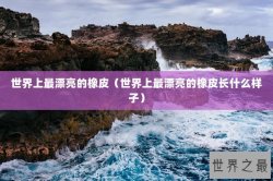 世界上最漂亮的橡皮（世界上最漂亮的橡皮长什么样子）