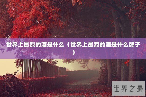 世界上最烈的酒是什么（世界上最烈的酒是什么牌子）