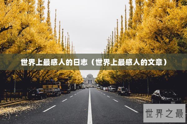 世界上最感人的日志（世界上最感人的文章）