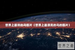 世界上最帅的马图片（世界上最漂亮的马的图片）
