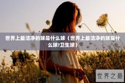 世界上最洁净的球是什么球（世界上最洁净的球是什么球?卫生球）