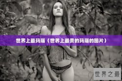 世界上最玛瑙（世界上最贵的玛瑙的图片）