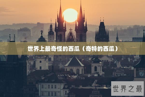 世界上最奇怪的西瓜（奇特的西瓜）