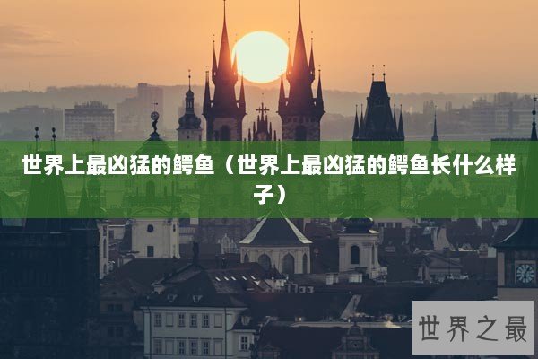 世界上最凶猛的鳄鱼（世界上最凶猛的鳄鱼长什么样子）