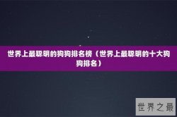 世界上最聪明的狗狗排名榜（世界上最聪明的十大狗狗排名）