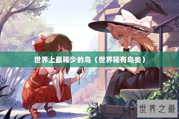 世界上最稀少的鸟（世界稀有鸟类）