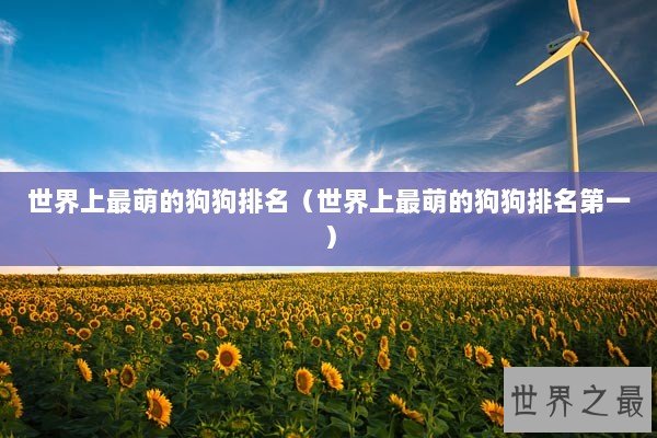 世界上最萌的狗狗排名（世界上最萌的狗狗排名第一）