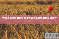世界上最恐怖的龙卷风（世界上最恐怖的龙卷风图片）
