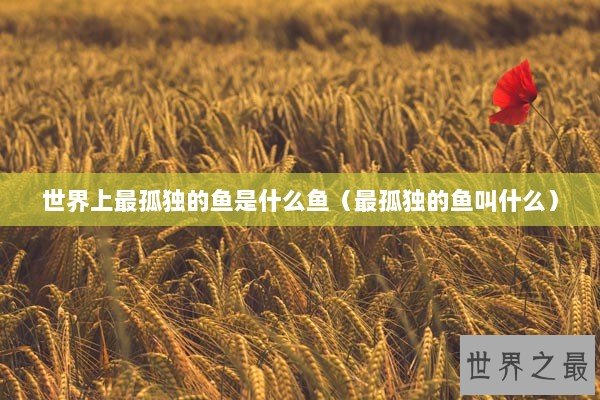 世界上最孤独的鱼是什么鱼(最孤独的鱼叫什么) 世界上最孤独的鱼是什么鱼(最孤独的鱼叫什么)
