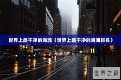 世界上最干净的海滩（世界上最干净的海滩排名）