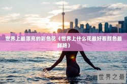 世界上最漂亮的彩色花（世界上什么花最好看颜色最鲜艳）