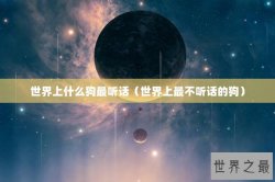 世界上什么狗最听话（世界上最不听话的狗）